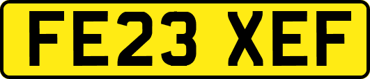 FE23XEF