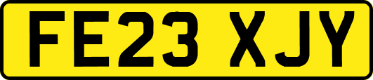 FE23XJY