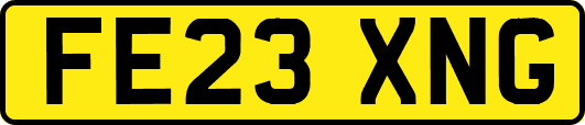 FE23XNG