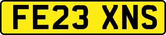 FE23XNS