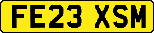 FE23XSM