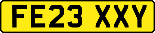 FE23XXY