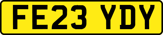 FE23YDY