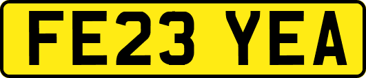 FE23YEA