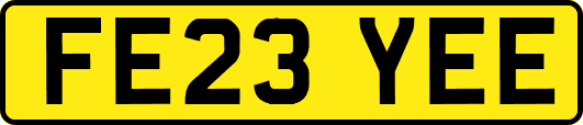 FE23YEE