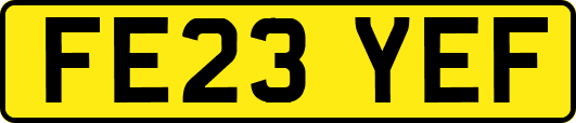 FE23YEF