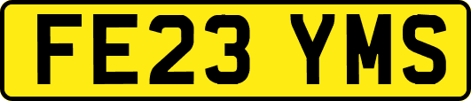FE23YMS