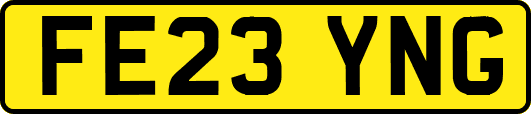 FE23YNG