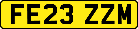 FE23ZZM