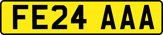 FE24AAA