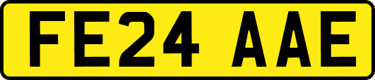 FE24AAE