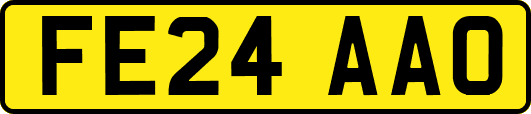 FE24AAO