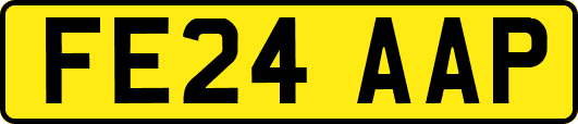 FE24AAP