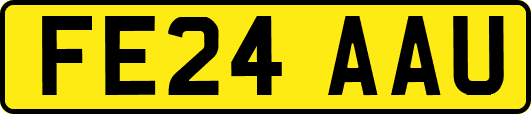 FE24AAU