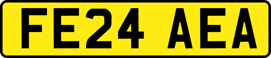FE24AEA