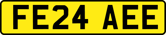 FE24AEE