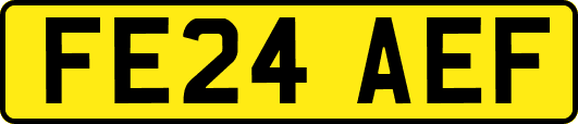 FE24AEF