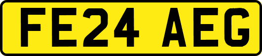 FE24AEG