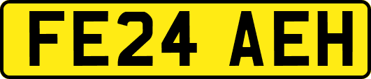 FE24AEH