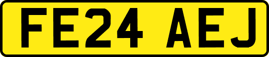 FE24AEJ