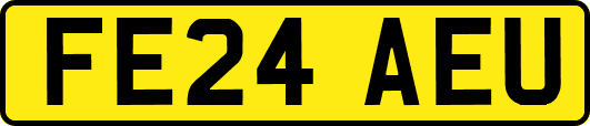 FE24AEU