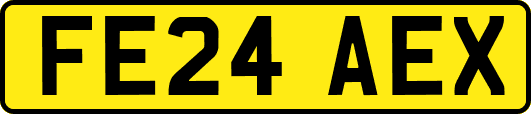 FE24AEX
