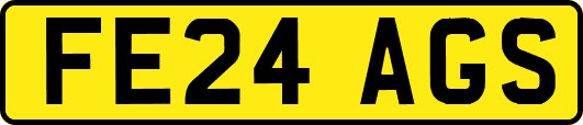 FE24AGS