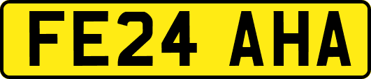 FE24AHA