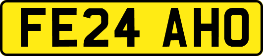 FE24AHO