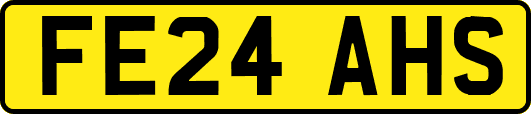 FE24AHS