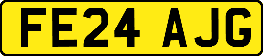 FE24AJG