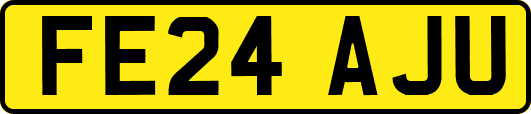 FE24AJU