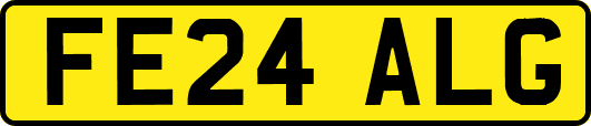FE24ALG