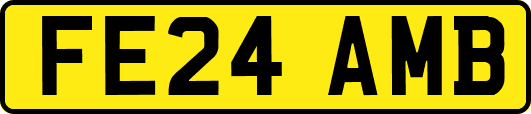 FE24AMB