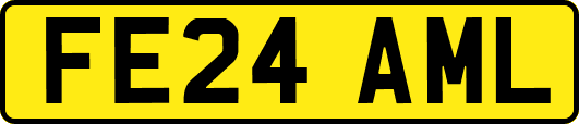 FE24AML