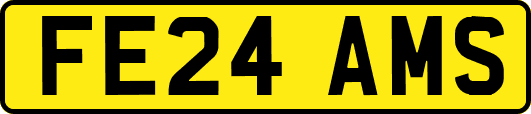 FE24AMS