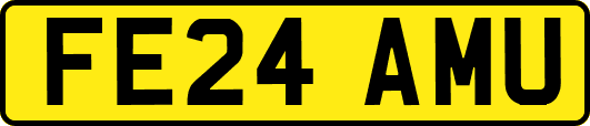 FE24AMU