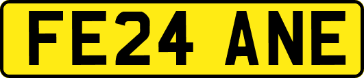 FE24ANE