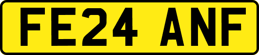 FE24ANF