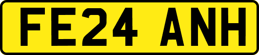 FE24ANH