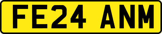 FE24ANM