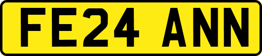 FE24ANN