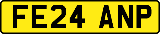 FE24ANP