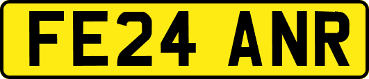 FE24ANR