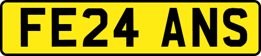 FE24ANS