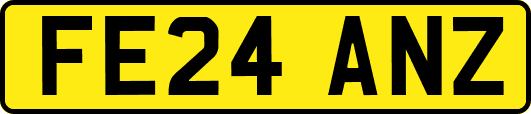 FE24ANZ