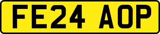 FE24AOP