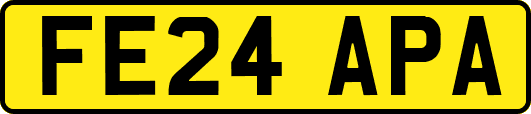 FE24APA