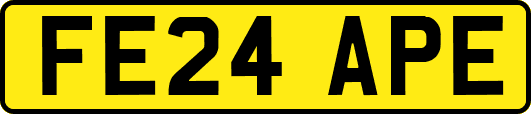 FE24APE