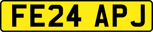 FE24APJ